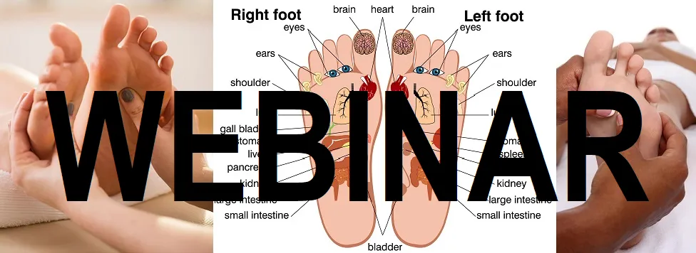 6 CE Hour Foot Reflexology Basics (Computer-based Live Interactive Webinar)