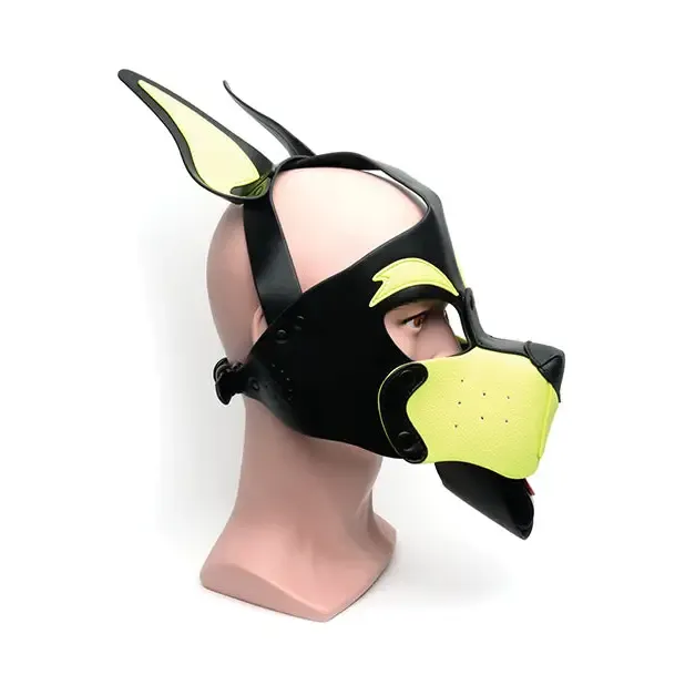 665 Playful Pup Hood.