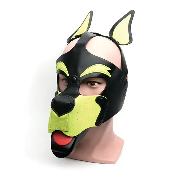 665 Playful Pup Hood.