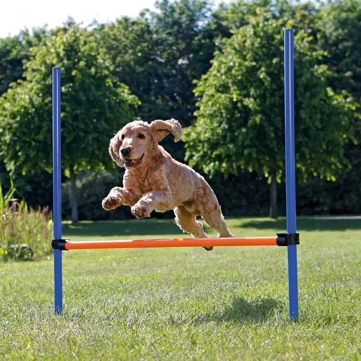 Agility Hurdle 123cm High