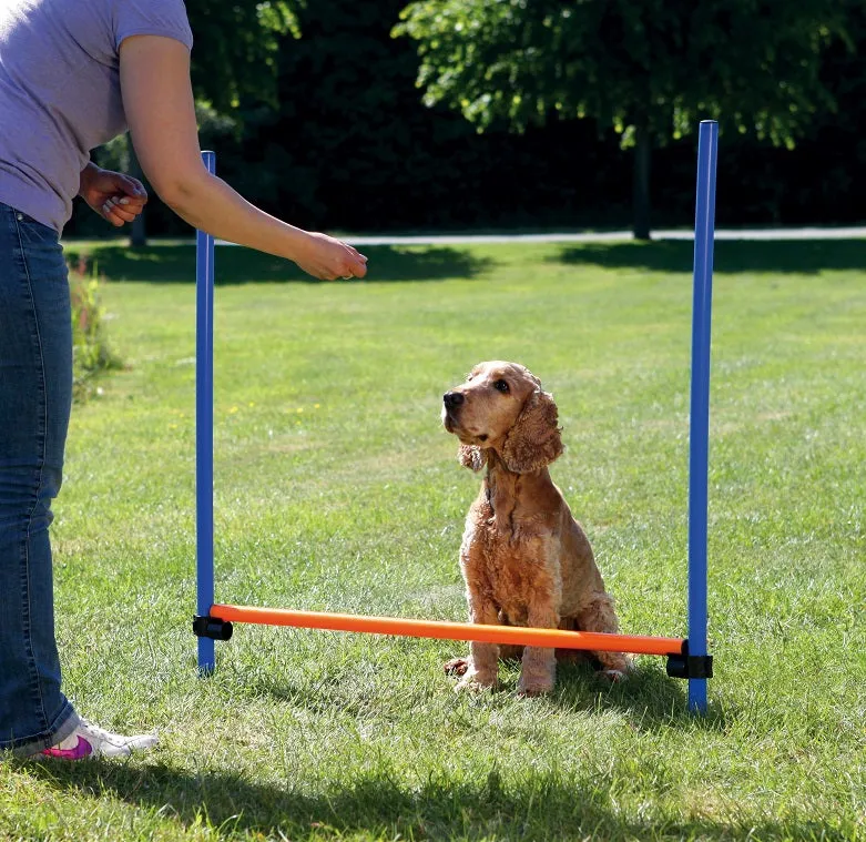 Agility Hurdle 123cm High