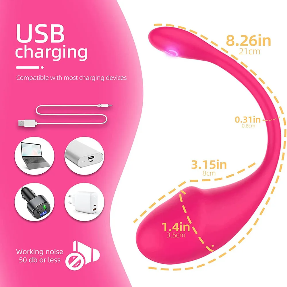 App controlled rechargeable love egg vibrator