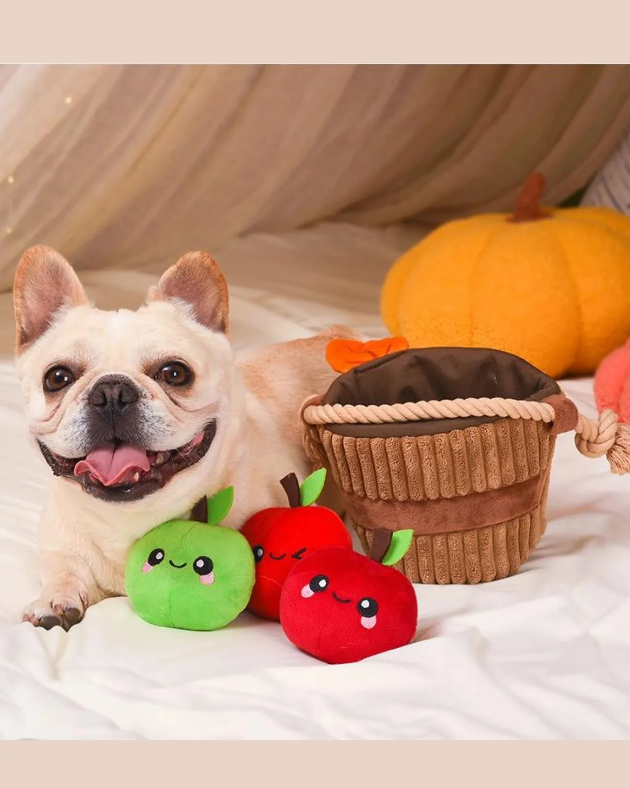 Apple Basket Squeaky Dog Toy