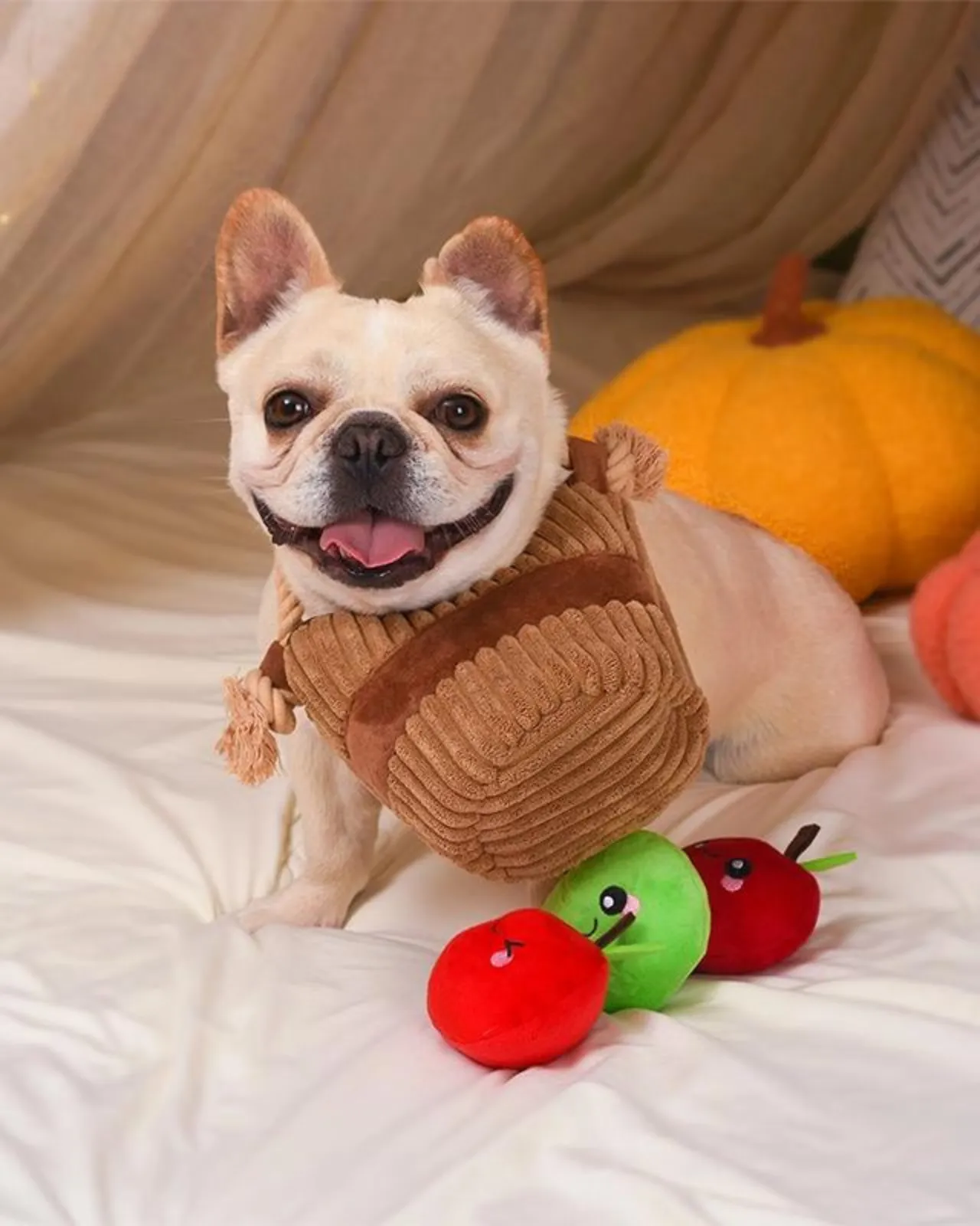 Apple Basket Squeaky Dog Toy