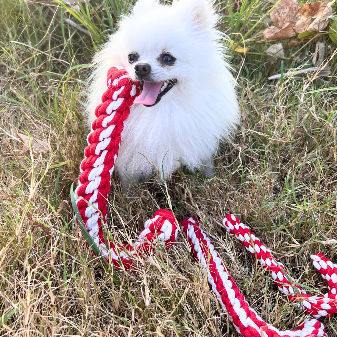 Braided Candy Cane Pet Rope Toy