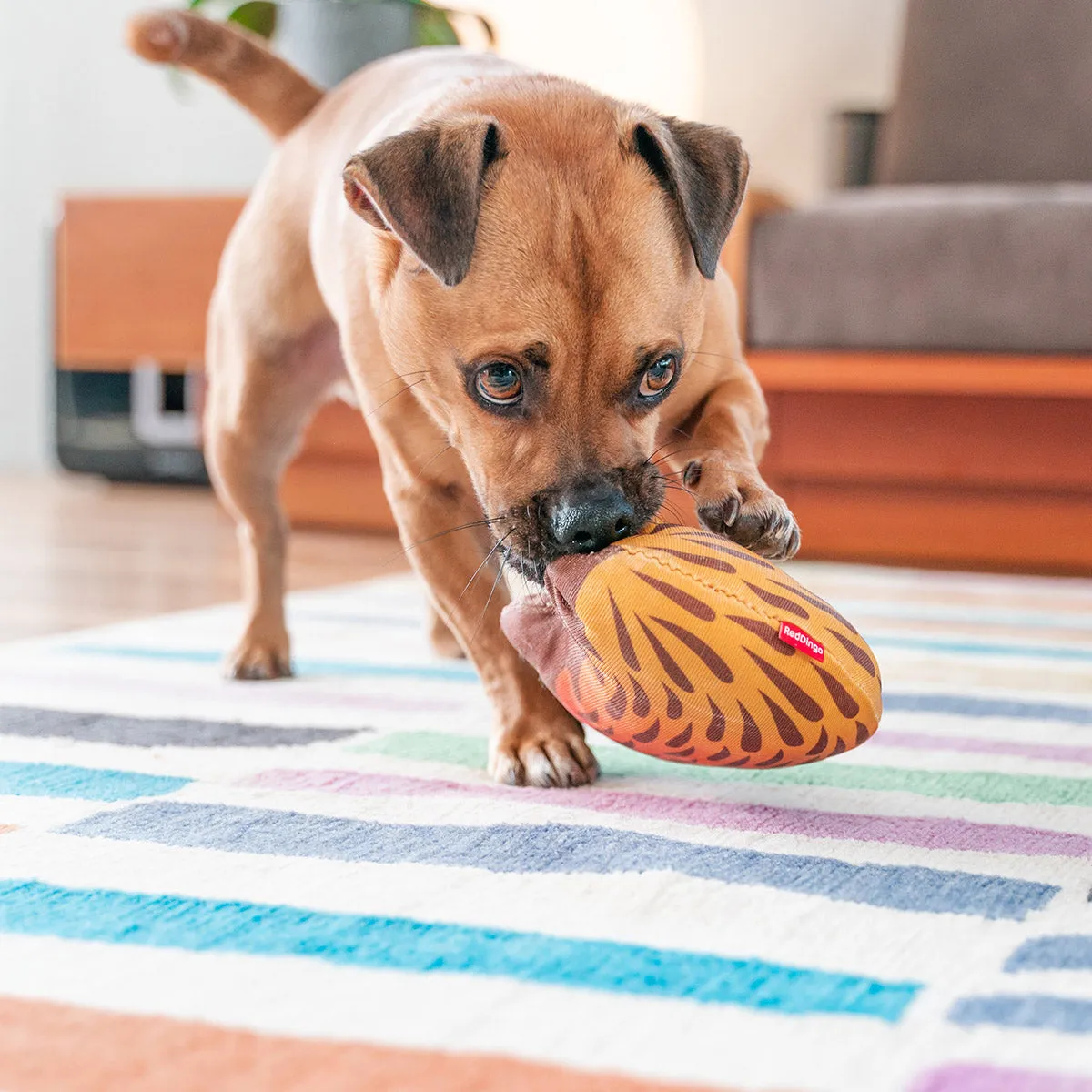 Durables Eddie The Echidna Dog Toy