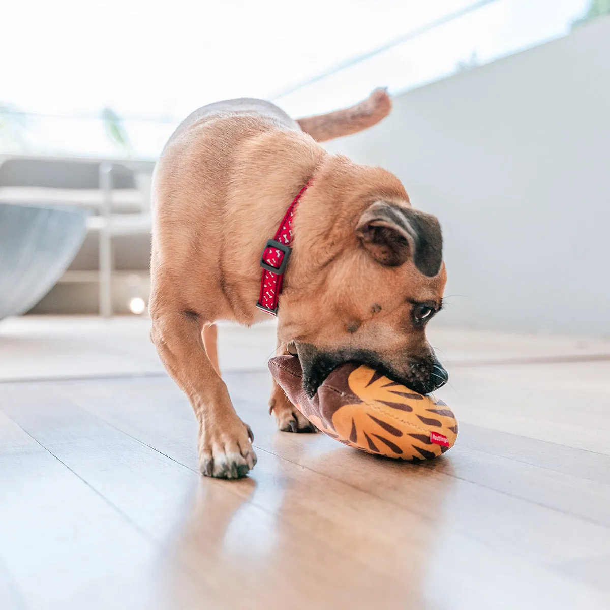 Durables Eddie The Echidna Dog Toy