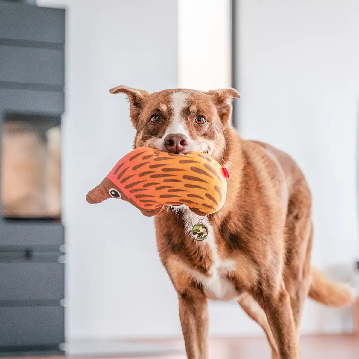 Durables Eddie The Echidna Dog Toy