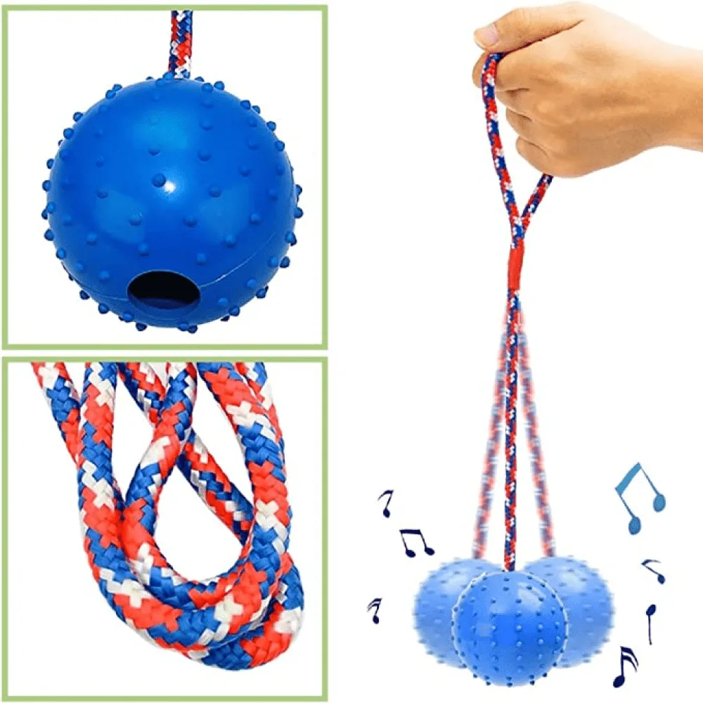 Emily Pets Rubber Ball with Rope Chew Toy for Dogs (Red)