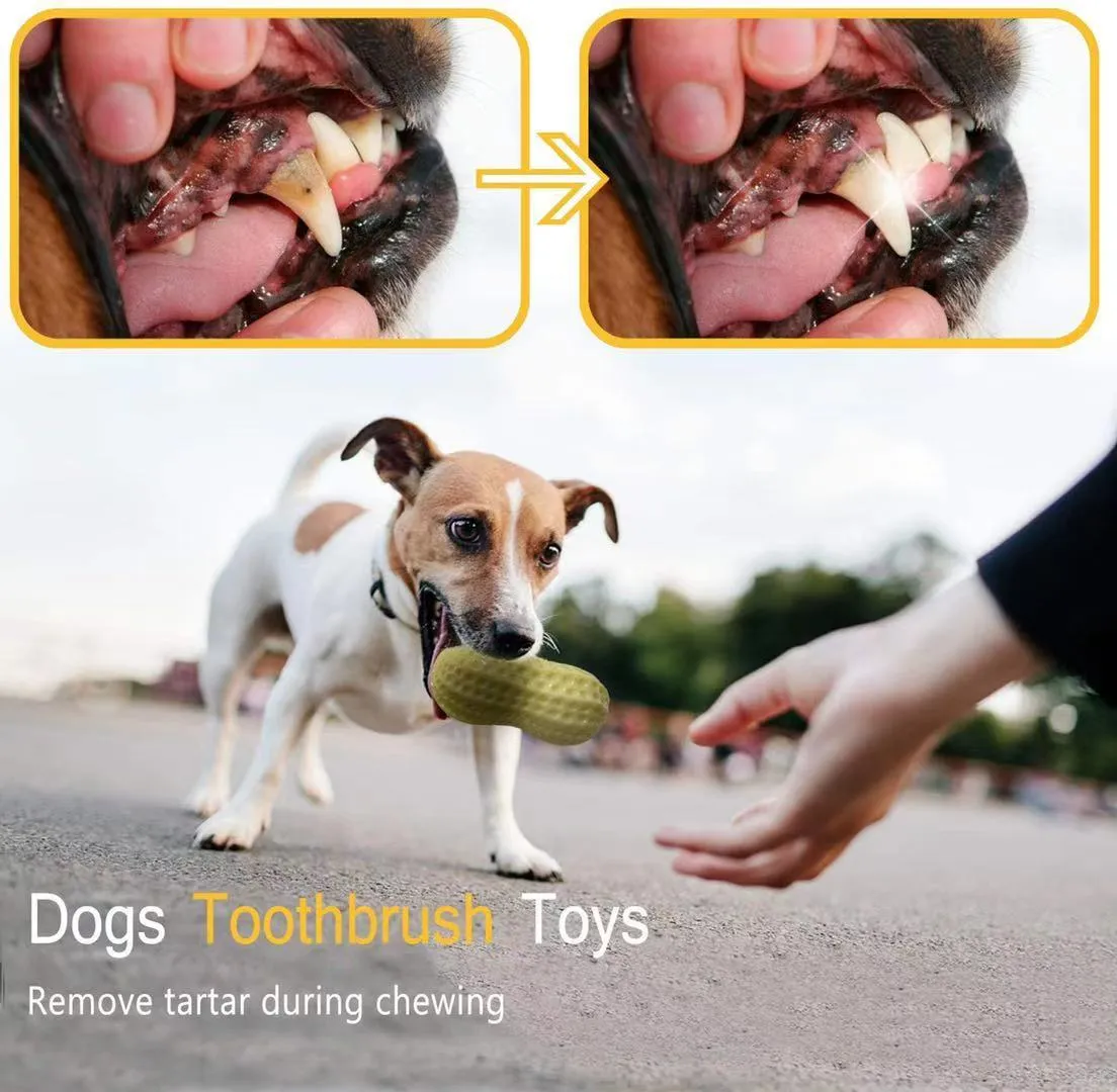 Funny Pet Dog Squeaky Peanut Chew Toy