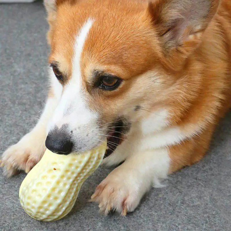 Funny Pet Dog Squeaky Peanut Chew Toy