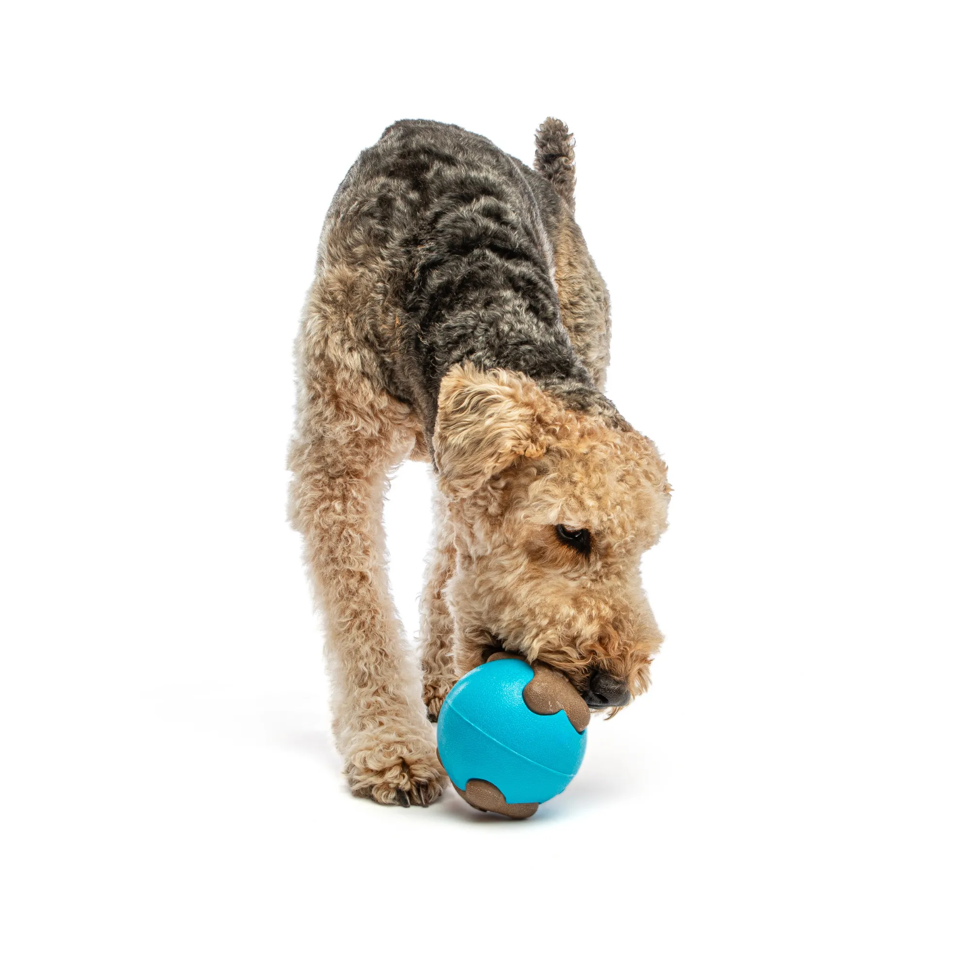 GURU Busy Ball Dog Toy Medium/Large