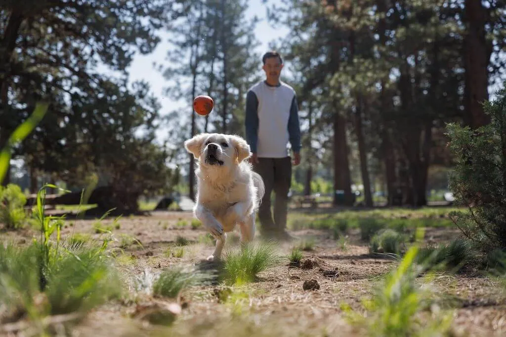 Huckama - Durable, 'Wacky' Bounce Dog Toy