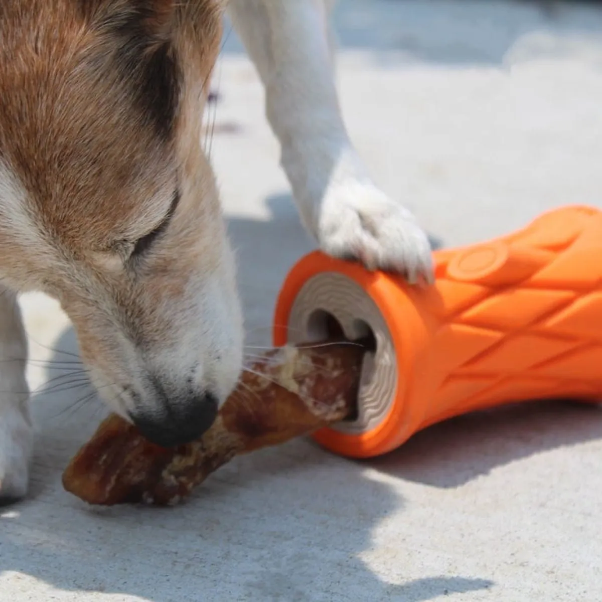 Interactive Treat Dispensing Puzzle Rubber Dog Toy: Tree Trunk