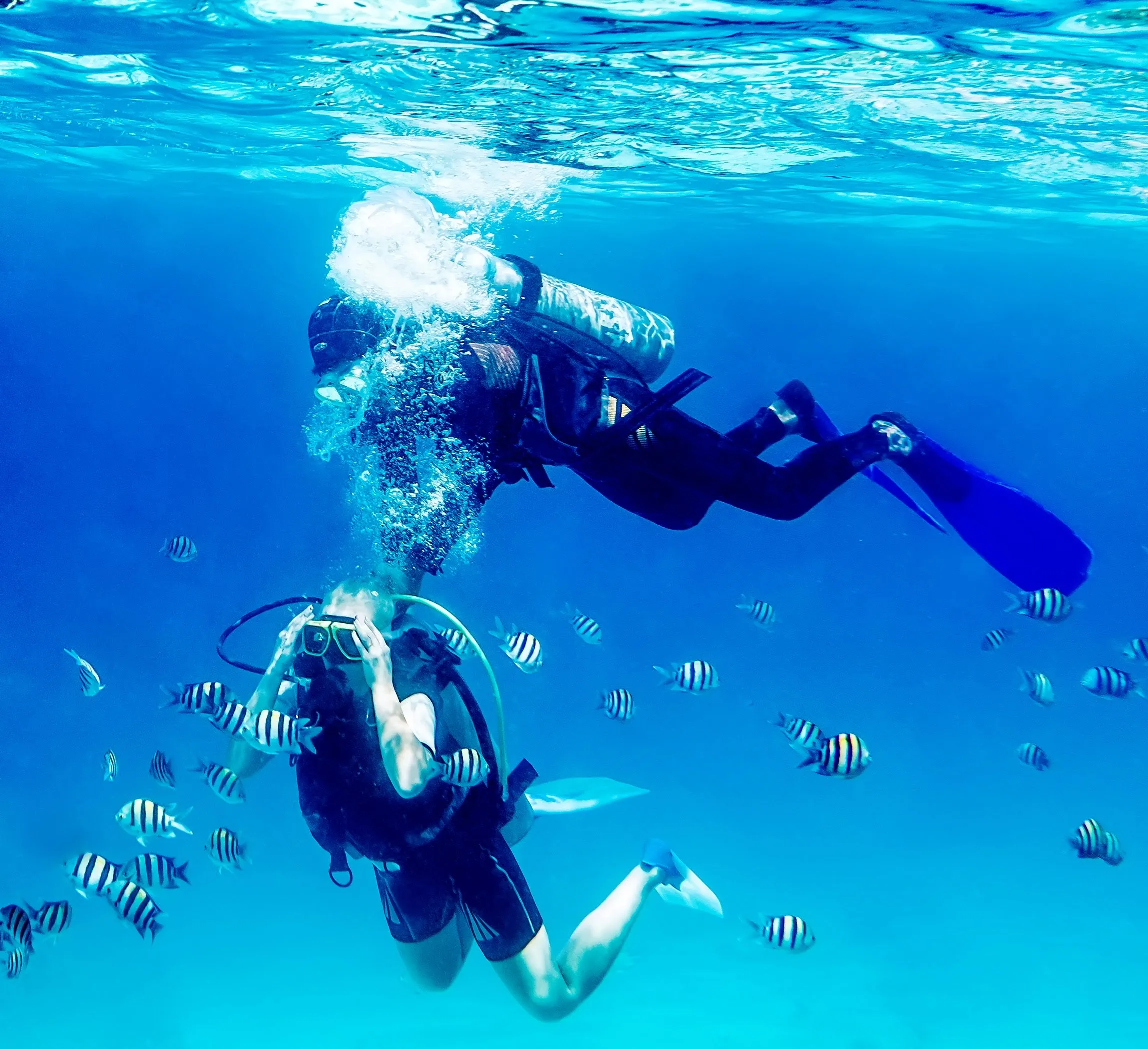 International Open Water Scuba Diving Course