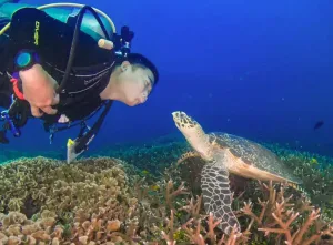 International Open Water Scuba Diving Course