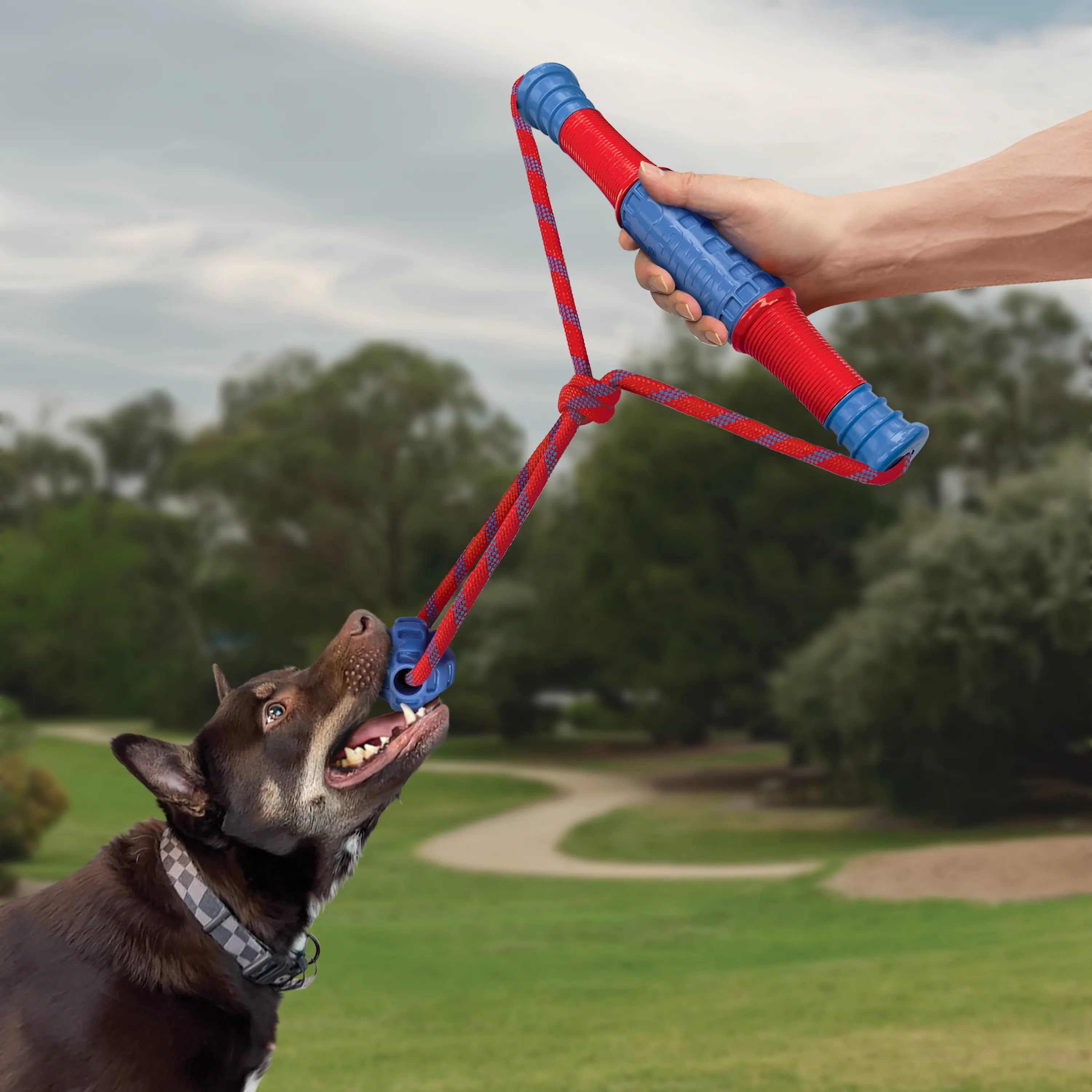 KONG - Jaxx Mega Tug Blue (Dog Toy)