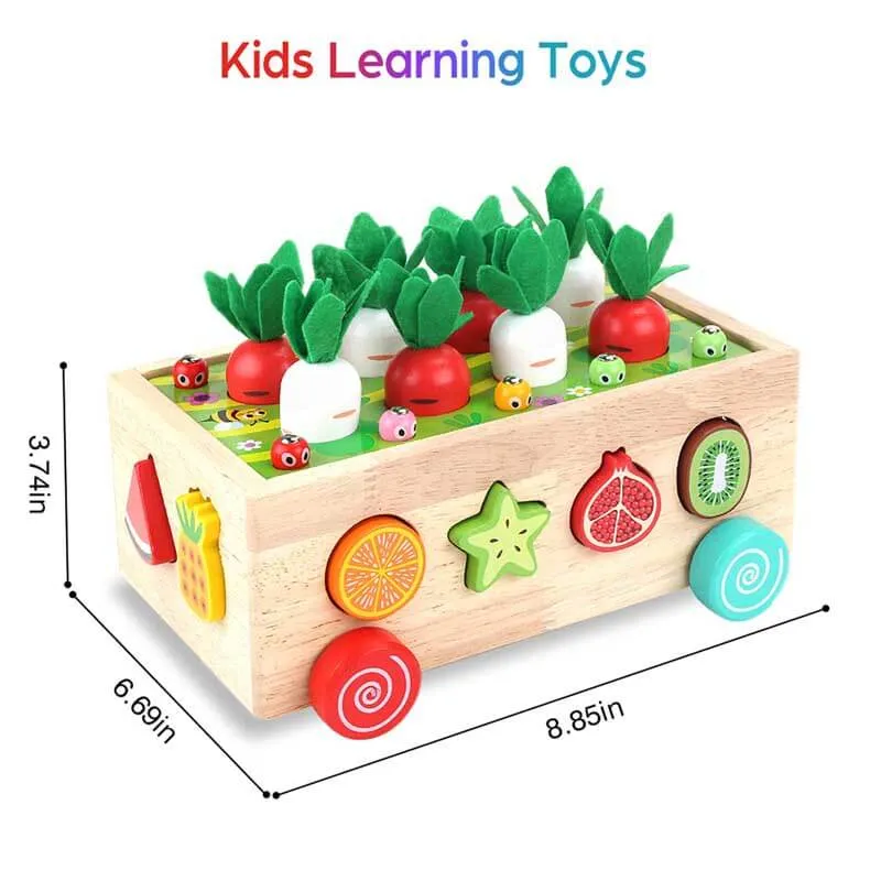 Montessori Wooden Farm