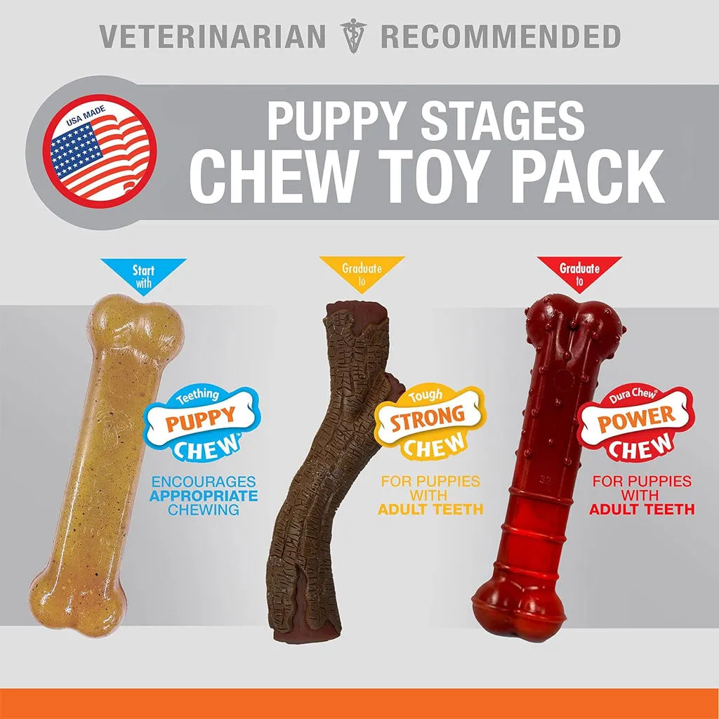 Nylabone Puppy Chew Stages Triple Pack Chewy Toys Puppy Stages Triple Pack, Medium, 3 count