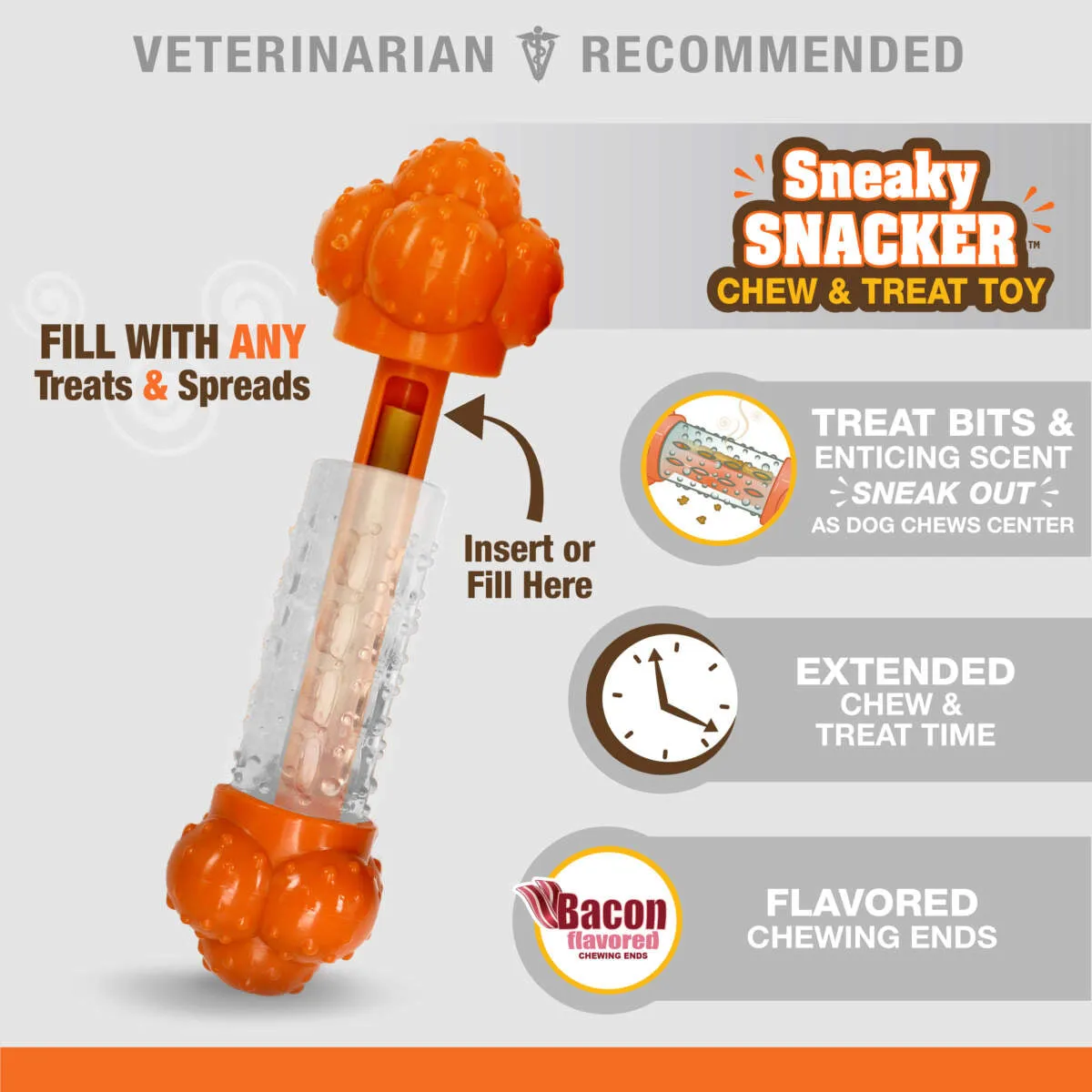 Nylabone Sneaky Snacker Dog Treat Toy