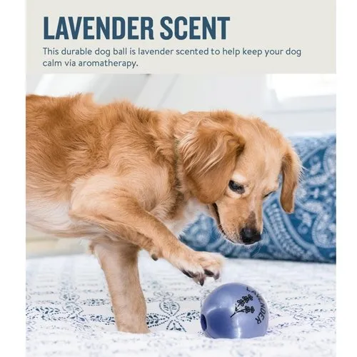 Outward Hound Petstages Orbee-Tuff Essentials Lavender Treat Dispensing Ball