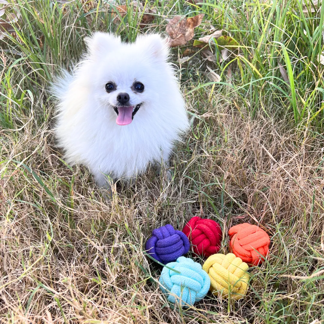 Petite Pup Rainbow Rope Ball Set