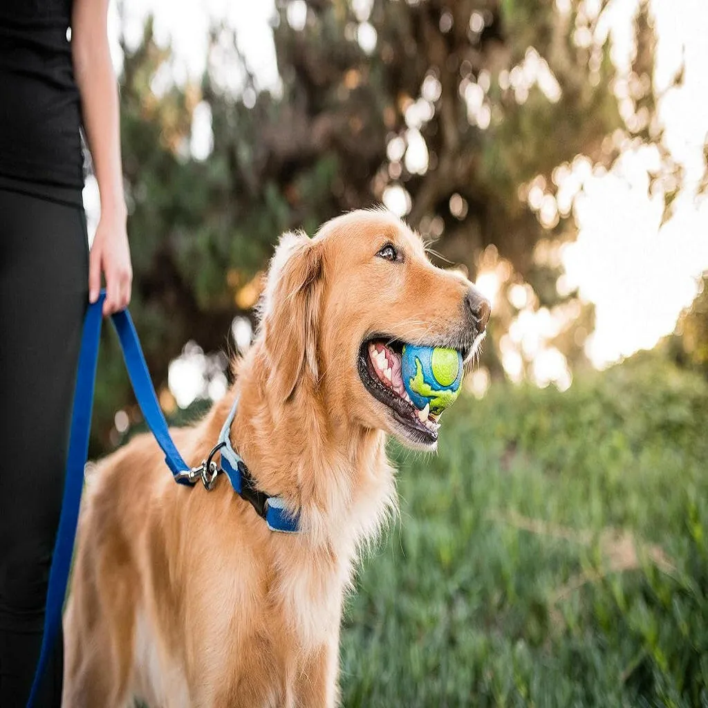 Planet Dog Orbee-Tuff Planet Ball Treat-Dispensing Dog Toy, Blue & Green