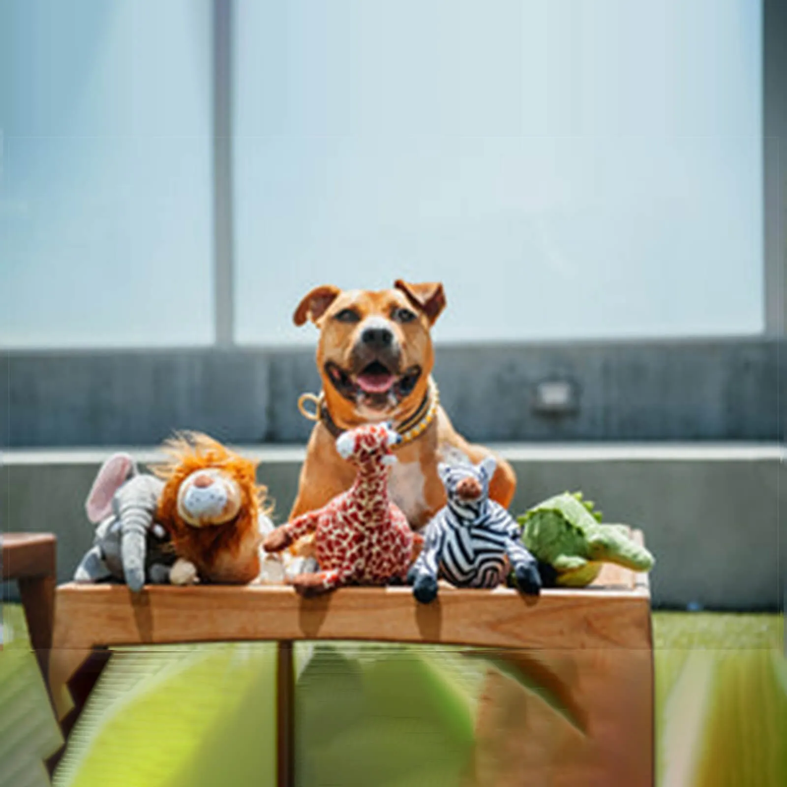 P.L.A.Y. Safari Collection Plush Eco-Friendly Dog Toy