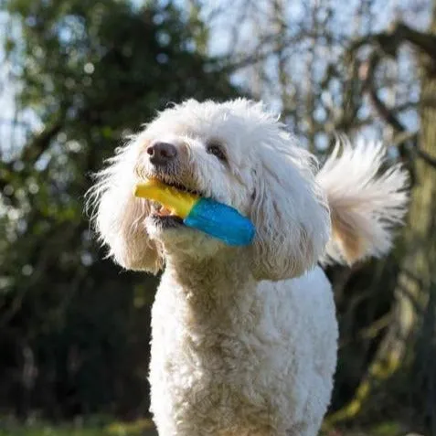 ROSEWOOD Chillax Cool Soak Bone Dog Toy