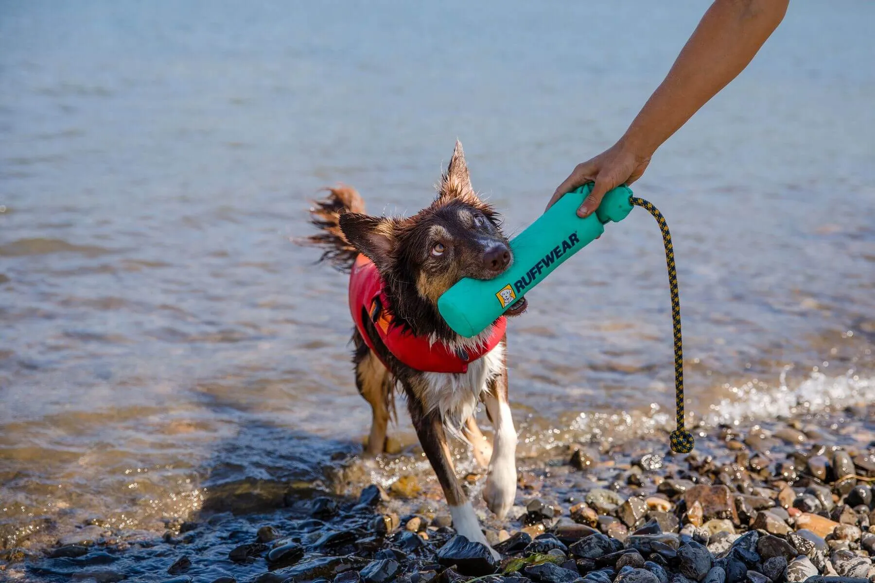 Ruffwear Lunker™ Dog Toy