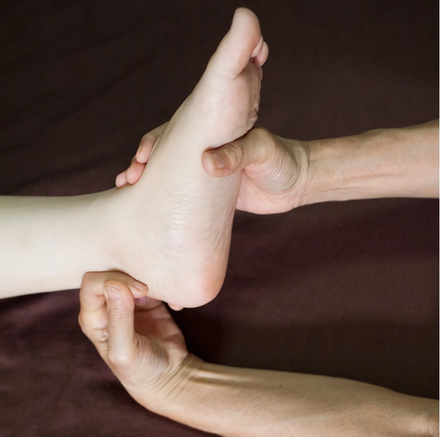 Self-paced Online Home Study 12 CE Hour Active Assisted LOWER Body Stretching (AAS) & Advanced Medical Foot Massage