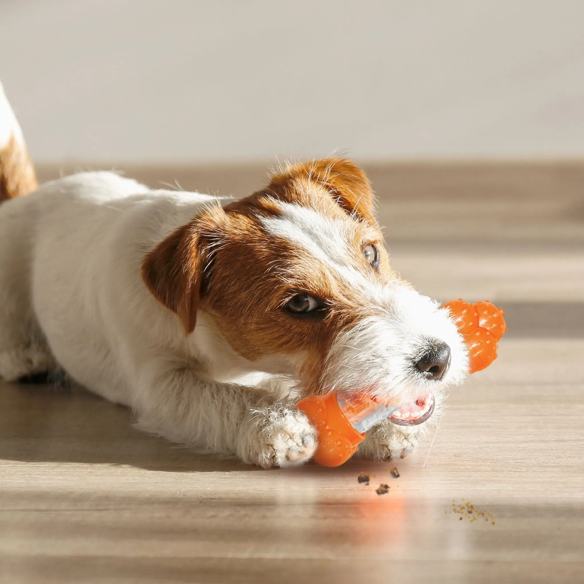 Sneaky Snacker Dog Treat Toy, Bacon