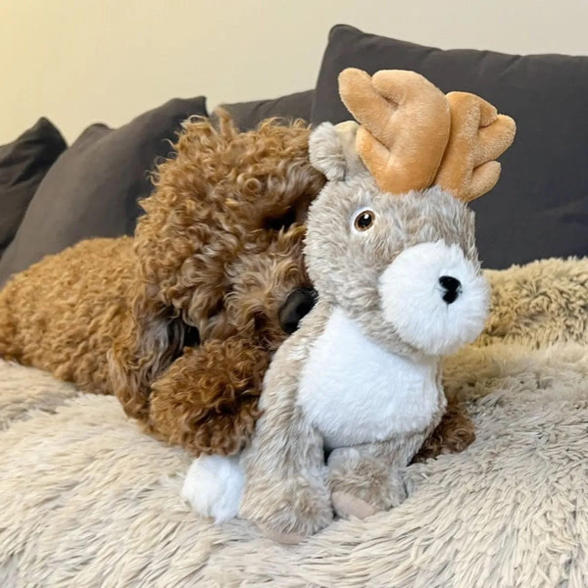 Squeaky Plush Dog Toy: Animated Jackalope