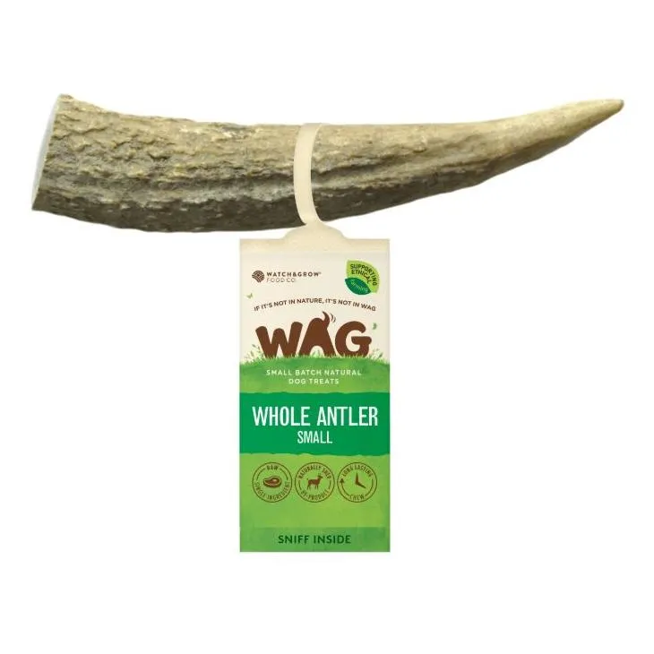 WAG Whole Deer Antler Naturally Shed Long Lasting Dog Treat