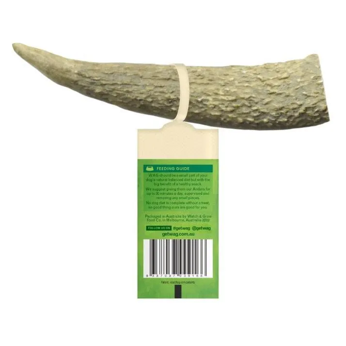 WAG Whole Deer Antler Naturally Shed Long Lasting Dog Treat