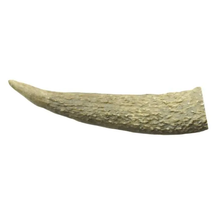 WAG Whole Deer Antler Naturally Shed Long Lasting Dog Treat